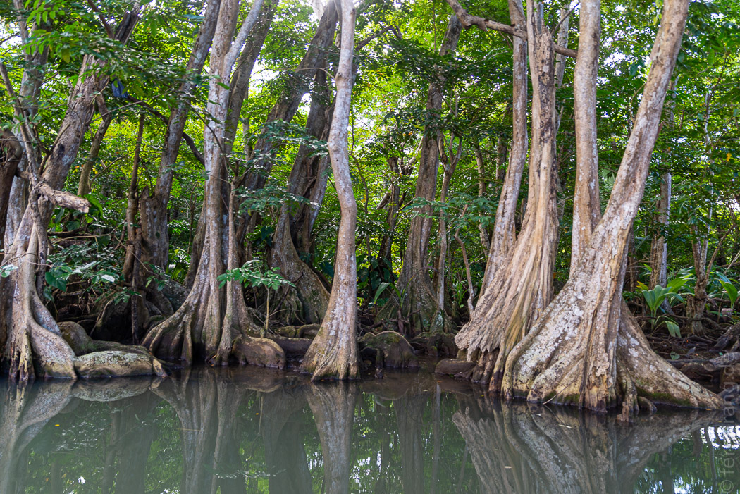Indian River